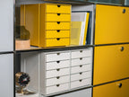 USM – Inos Box Set C4 with 5 drawers / Ruby Red